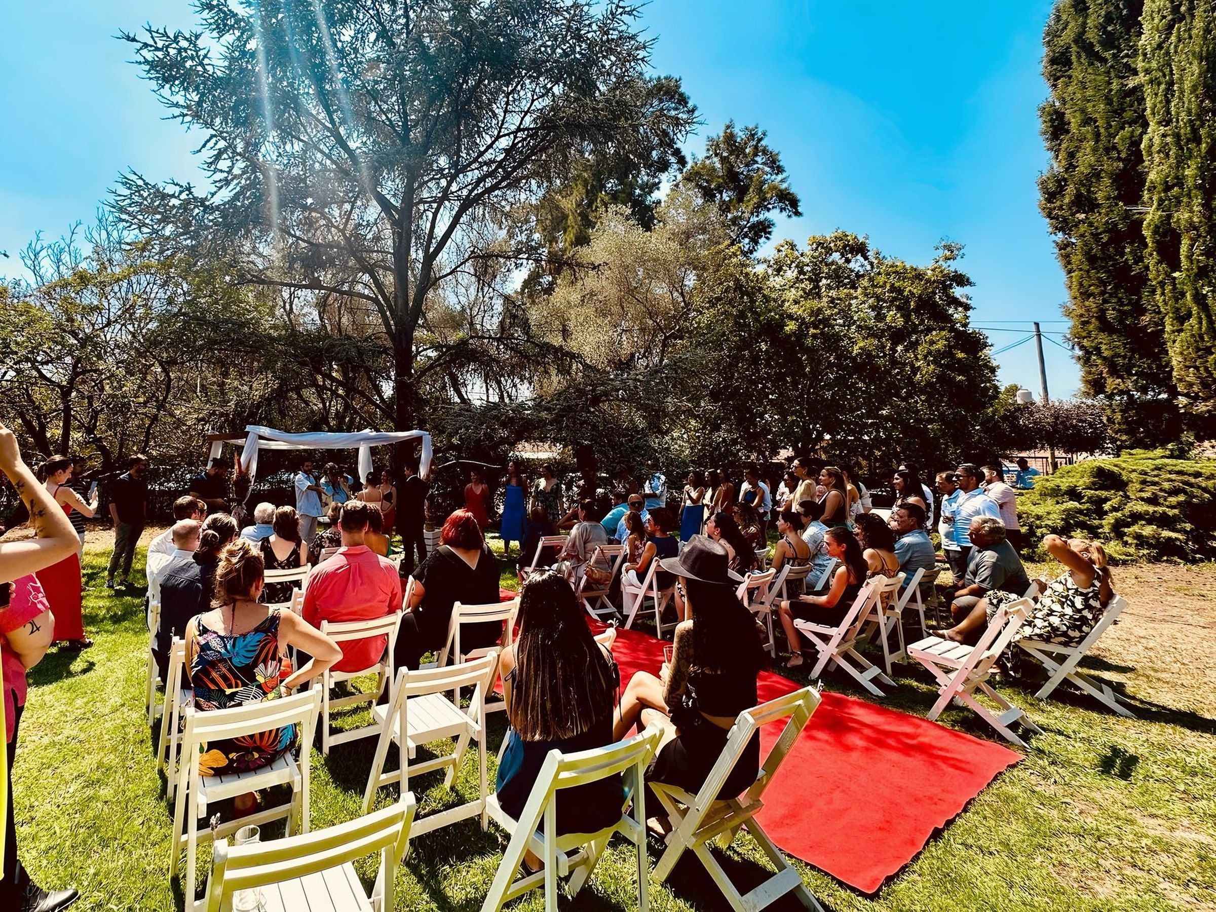 Invitados sentados en la ceremonia al aire libre bajo los árboles
