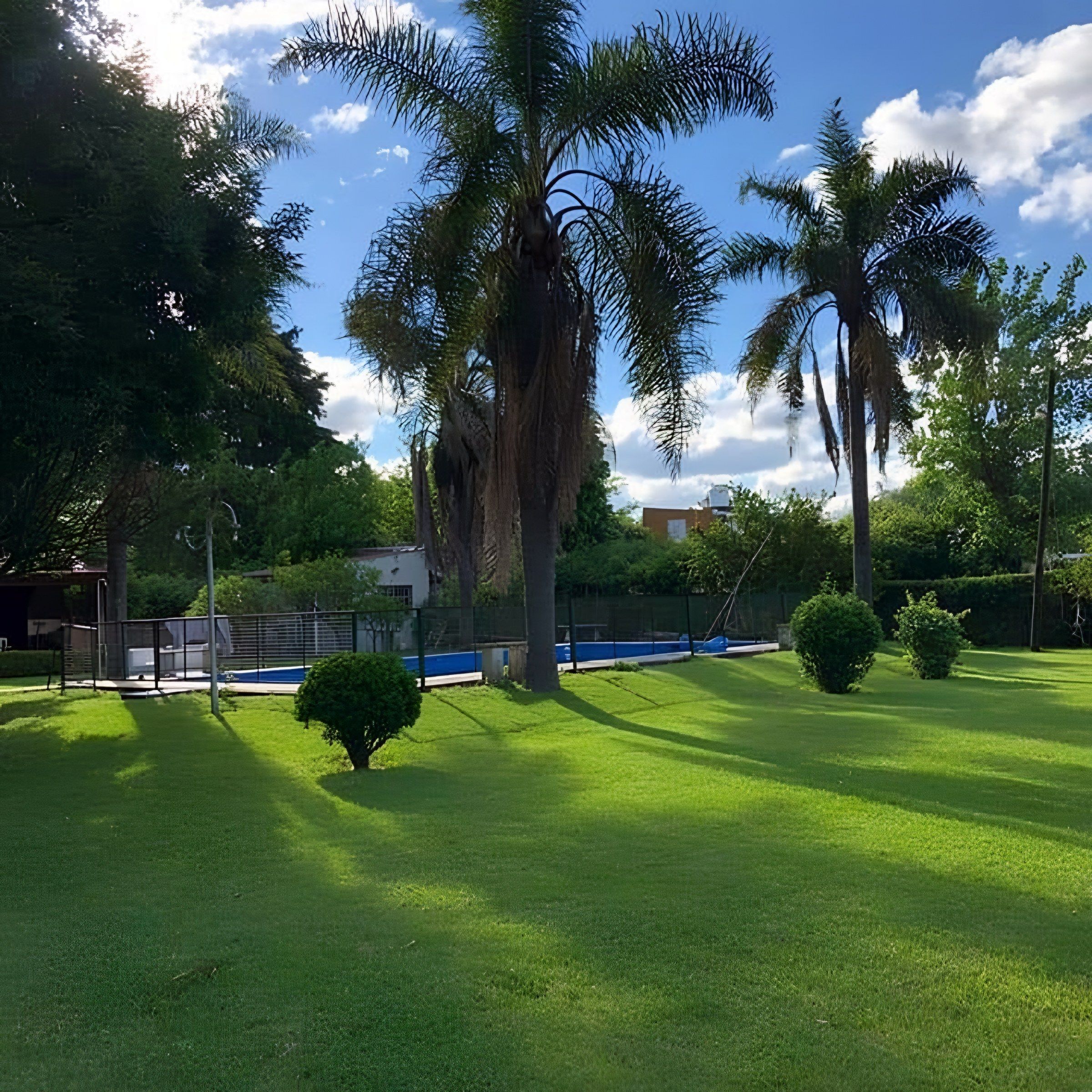 Parque con palmeras, césped y pileta al fondo